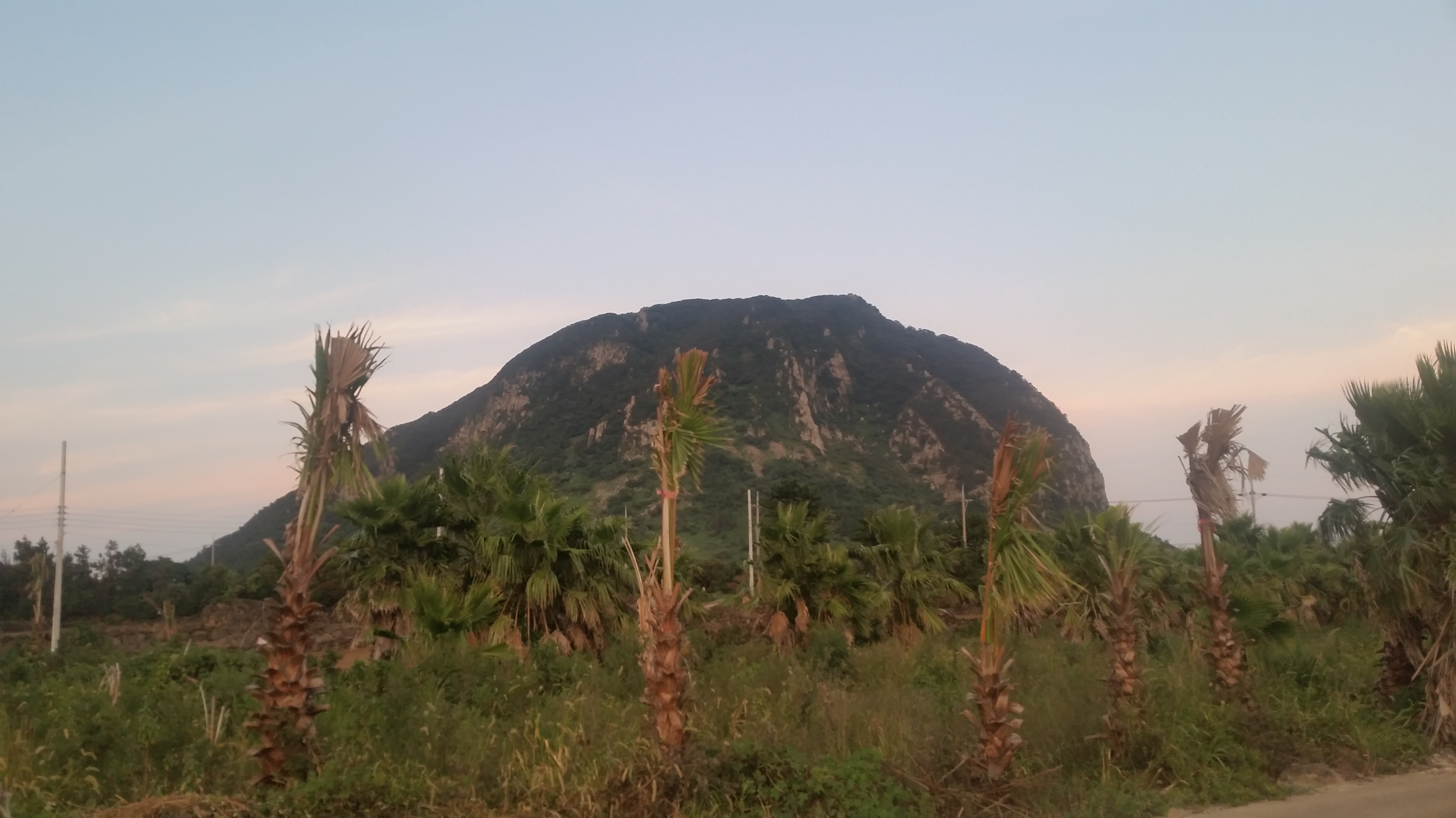 20180818_192021.jpg